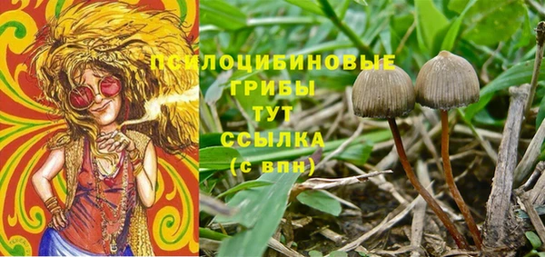 ГАЛЛЮЦИНОГЕННЫЕ ГРИБЫ Михайловка